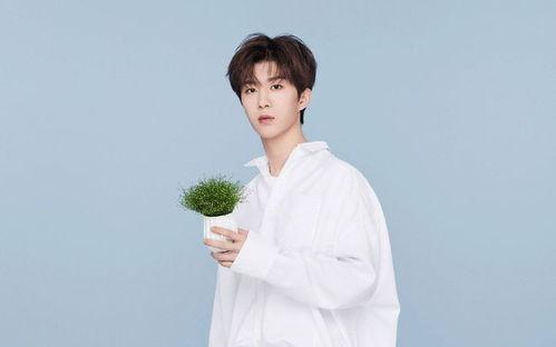 白鹿范丞丞最新爆料视频,娱乐圈幕后真相大曝光