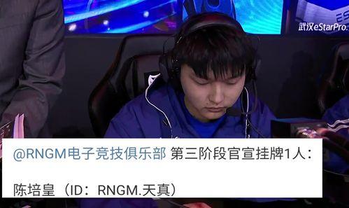 kpl最新消息瓶子爆料,瓶子揭秘战队内幕，精彩瞬间即将揭晓！