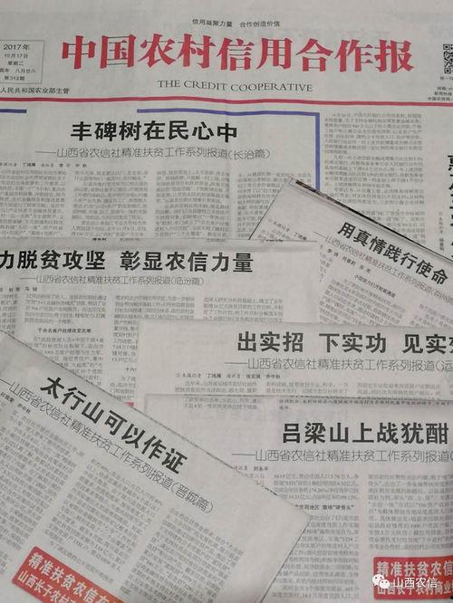 山西农信社最新爆料,揭秘改革动向与未来发展蓝图