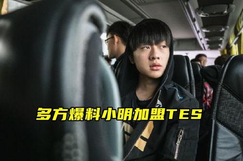 老岳爆料最新视频大全,精彩内容一网打尽！